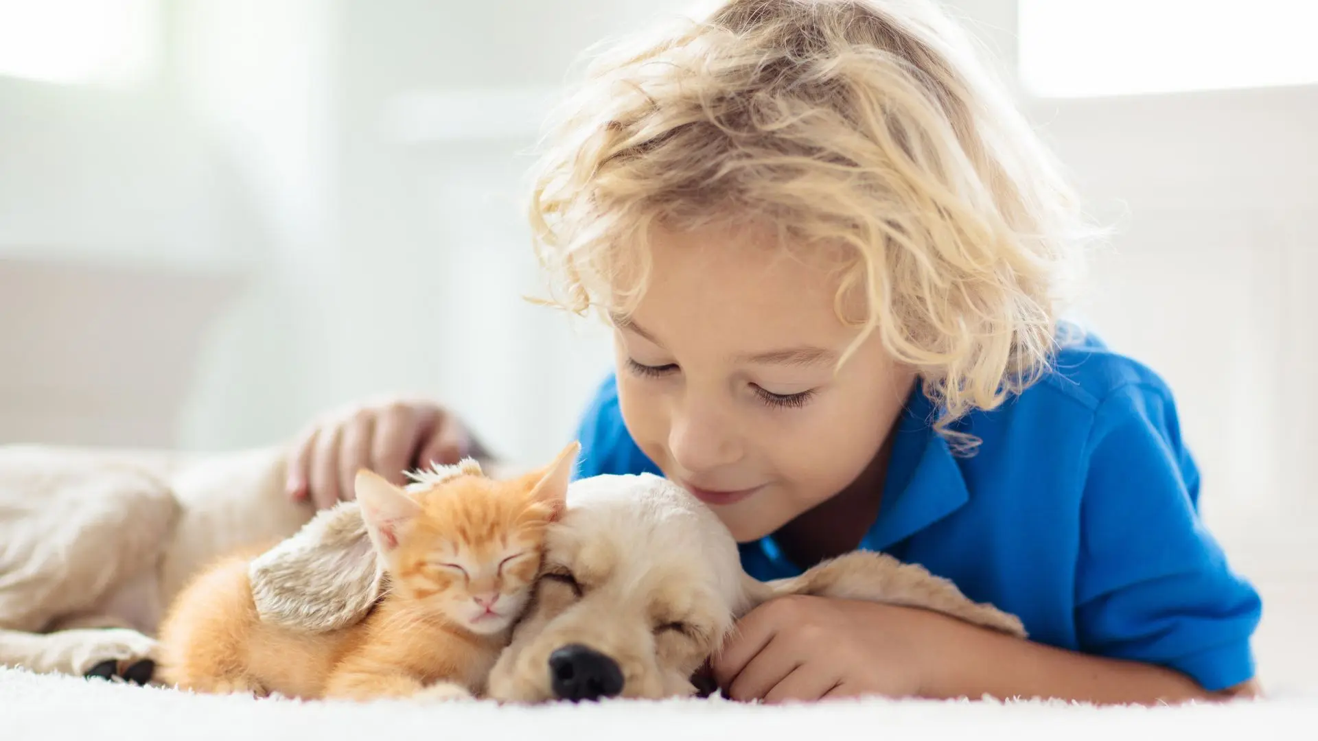 Bambino con un cane e gatto
