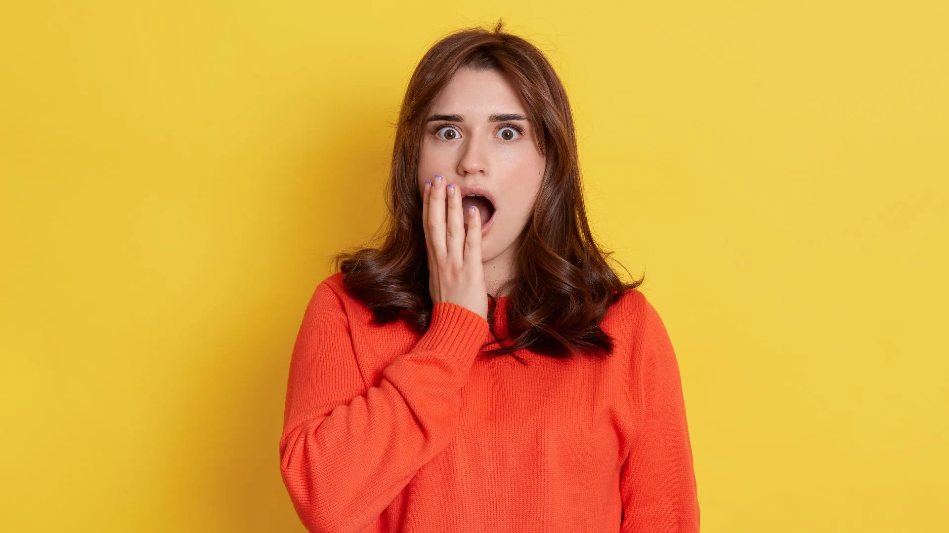 i nostri animali capiscono le nostre emozioni