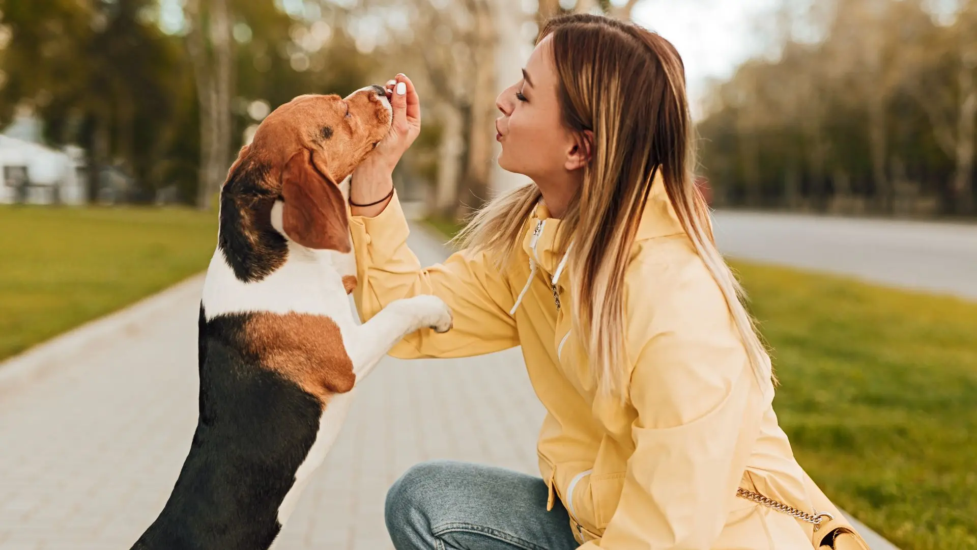 Senso del gusto nei pet