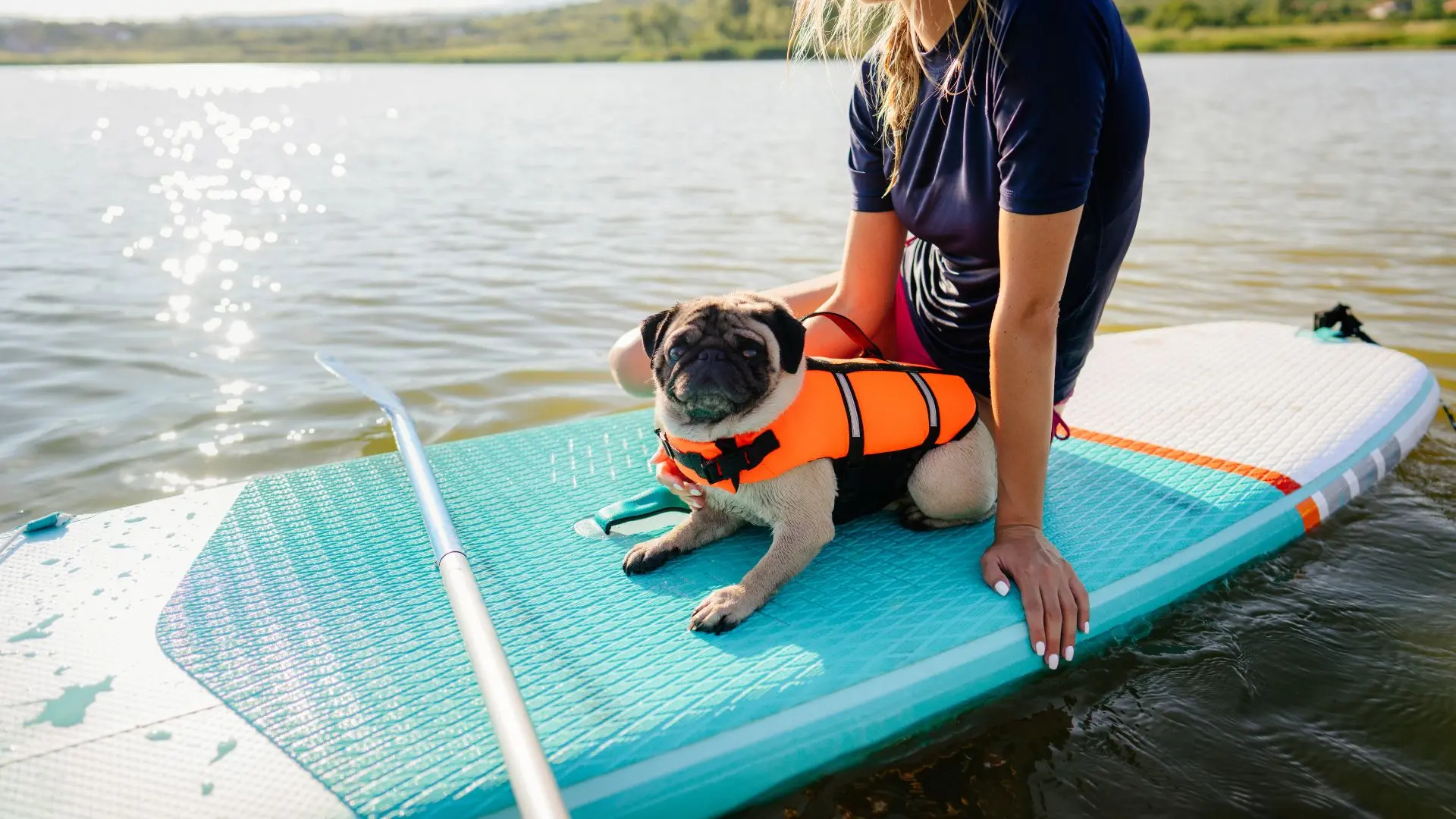 sport e gioco come creare una relazione con il cane