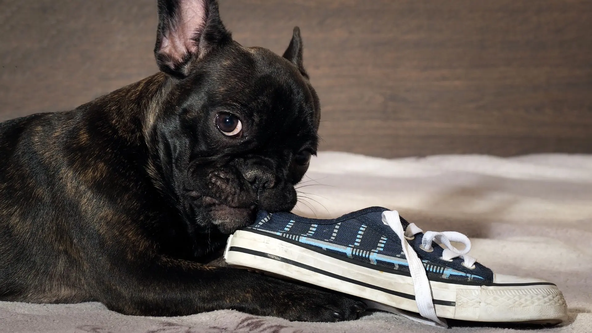 Ingestione di corpi estranei