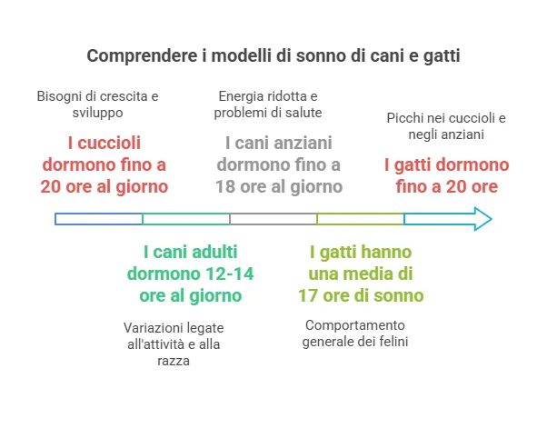 Quante ore dormono cani e gatti