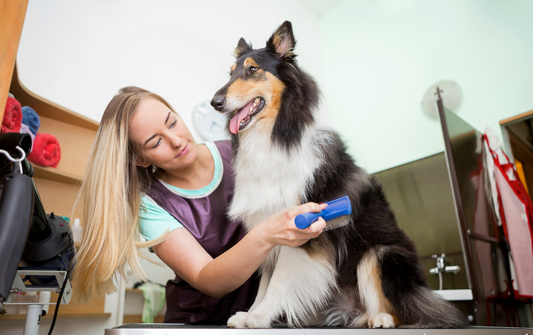 patologie professionali del toelettatore