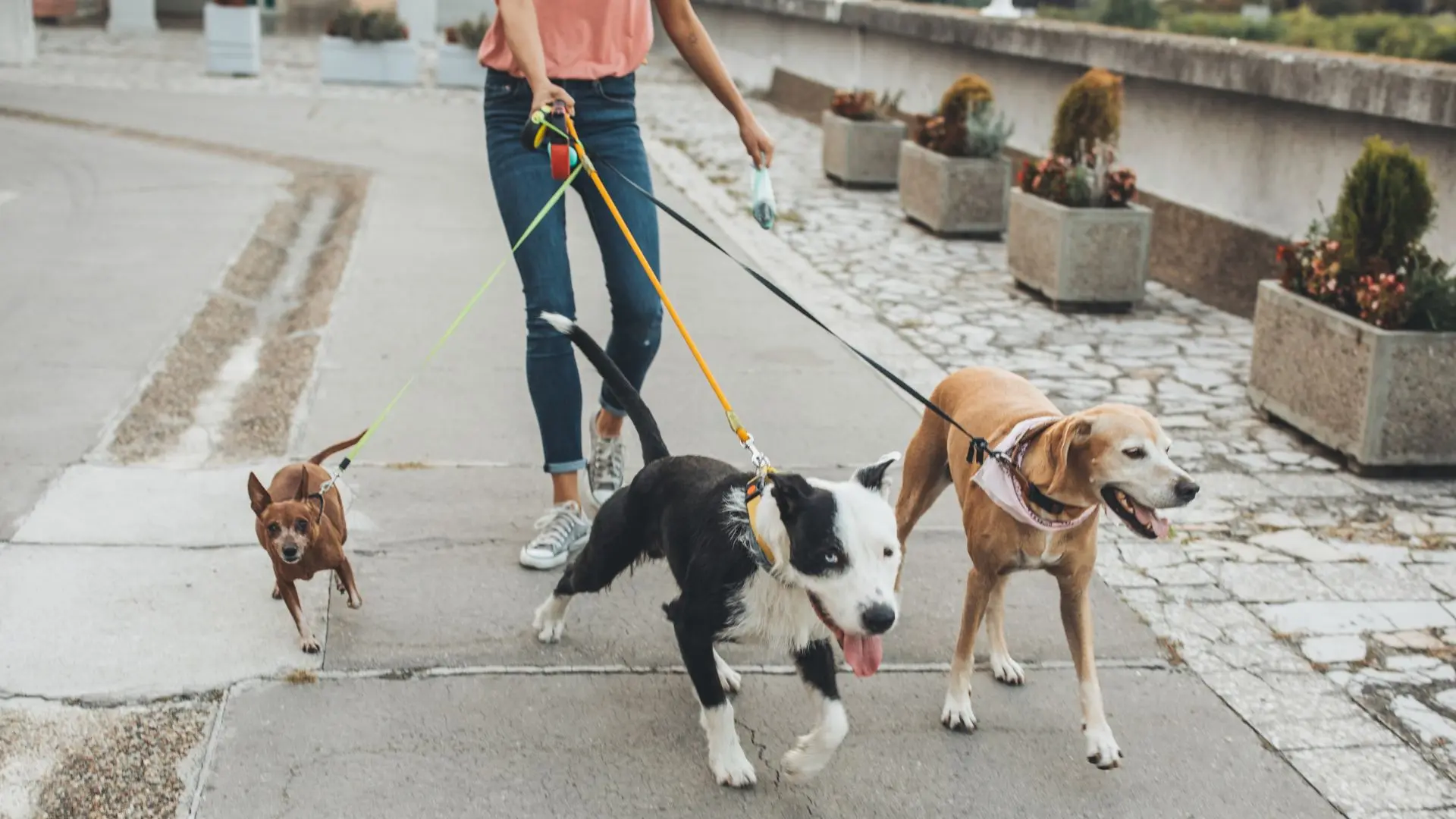 Passeggiata a gruppi