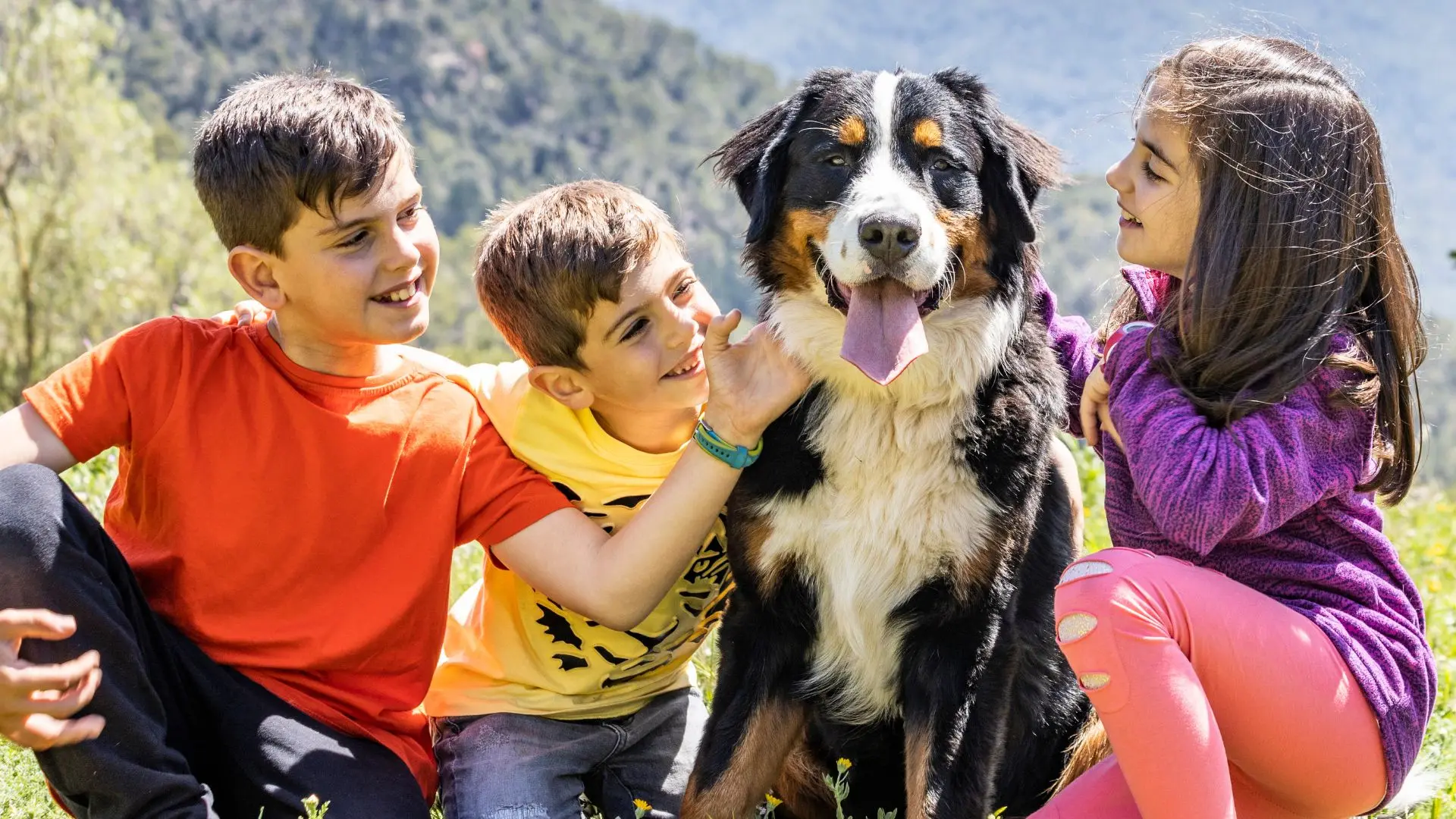Bovaro bernese bambini