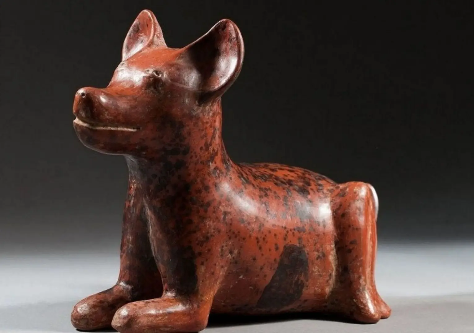 cane nudo messicano statua