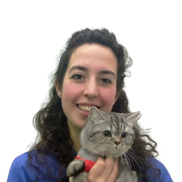 Dynamic Content Image