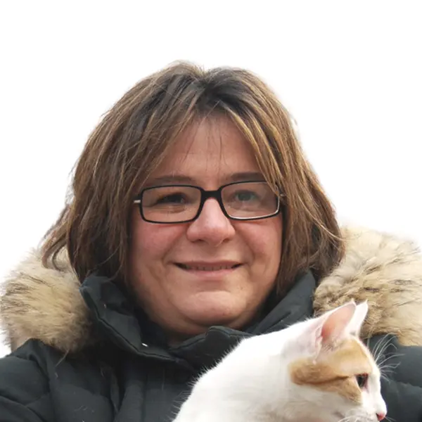 Dynamic Content Image