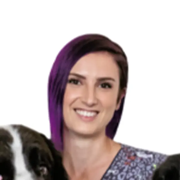 Dynamic Content Image