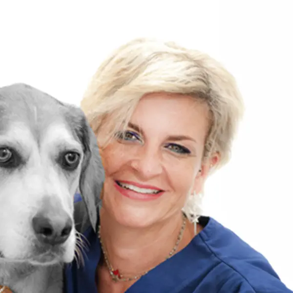 Dynamic Content Image