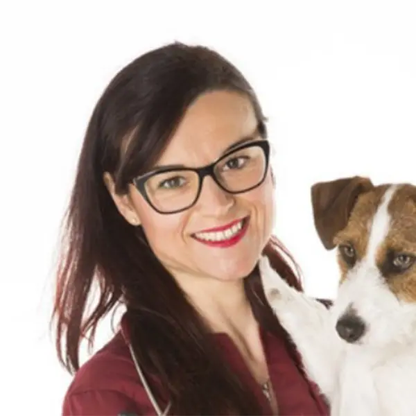 Dynamic Content Image