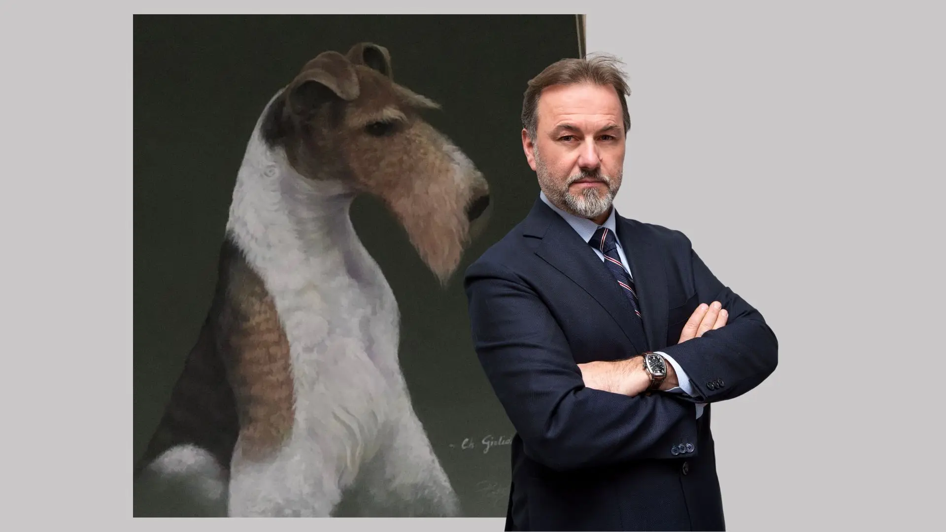 handstripping, rimozione manuale del pelo del cane 